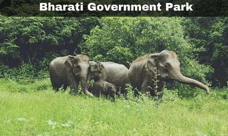 Bharati Government Park